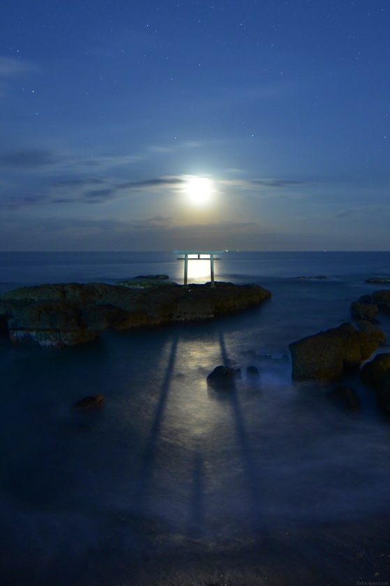 202002_oarai_02.jpg