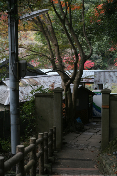 200811_Kobe_04.jpg 200811_Kobe_04.jpg