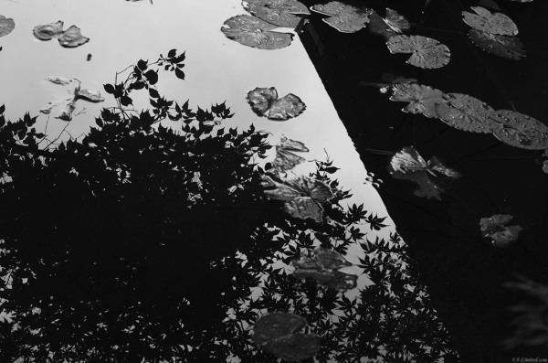 tak1208_Kyoto04.jpg tak1208_Kyoto04.jpg